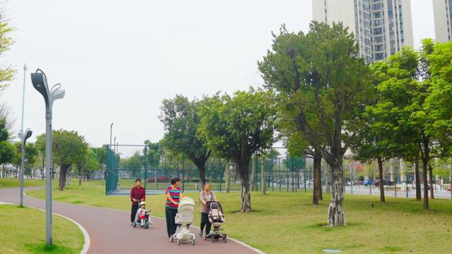 星空体育官方网站绿美佛山·公园城市丨智慧城市中的浓浓绿意